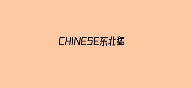 CHINESE东北猛1猛打桩电影封面图