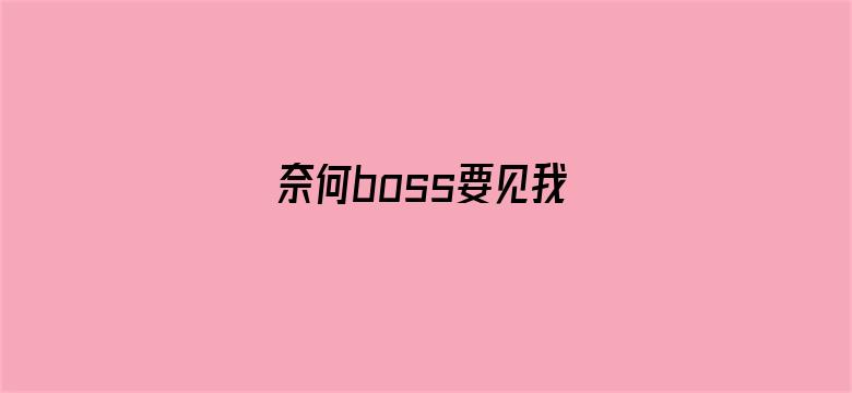 奈何boss要见我