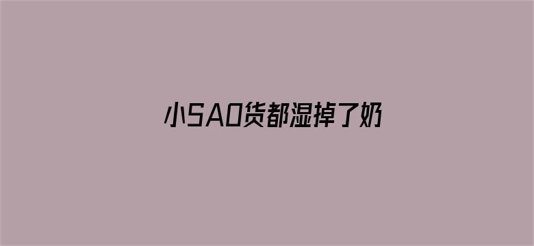 >小SAO货都湿掉了奶头都硬了横幅海报图