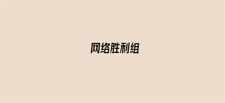 网络胜利组